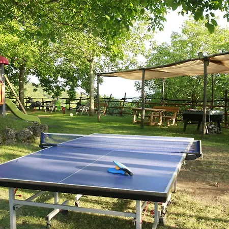 Fattoria Alvaneta * Падула