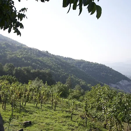 Летний дом Fattoria Alvaneta Падула