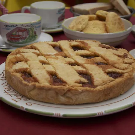 Fattoria Alvaneta Падула